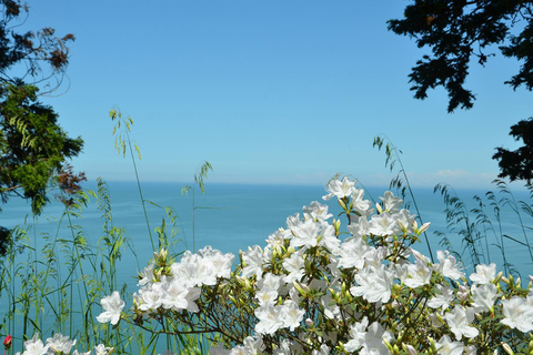 Mar Negro: Excursión a la Playa Magnética y al Jardín Botánico de Batumi