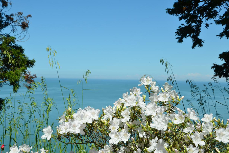 Mar Negro: Visita à Praia Magnética e ao Jardim Botânico de Batumi