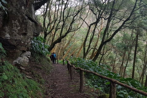 Lomba de São Pedro: Waterfall Hiking Tour with Tea Tasting