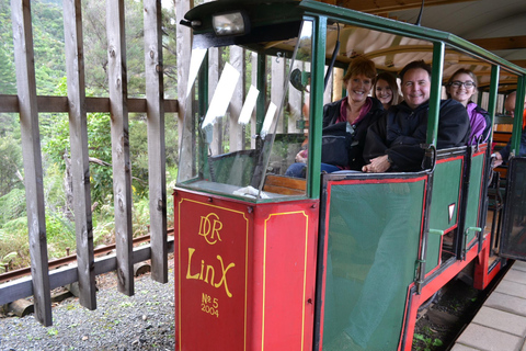 Auckland: Coromandel Beach, grottor och skog privat tur