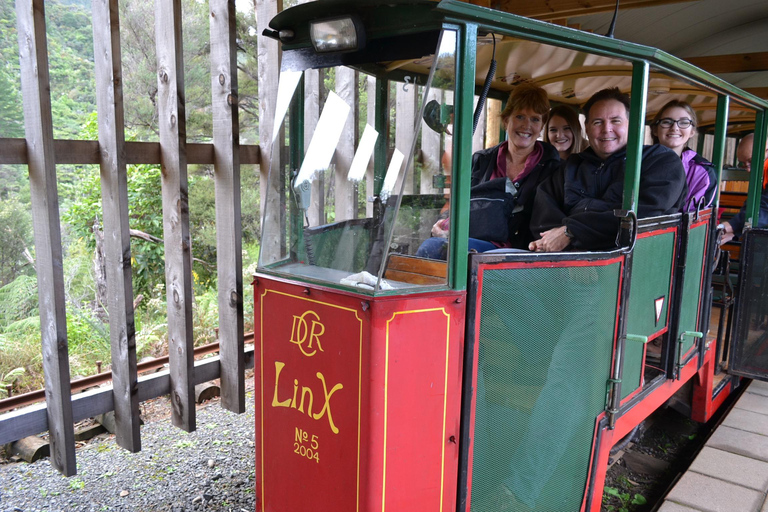 Auckland: Excursión Privada a la Playa, Cuevas y Bosque de Coromandel