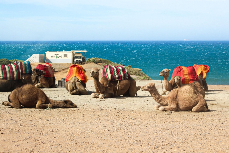 Z Tangeru: całodniowa wycieczka do Tangeru, Asilah i Cape Spartel