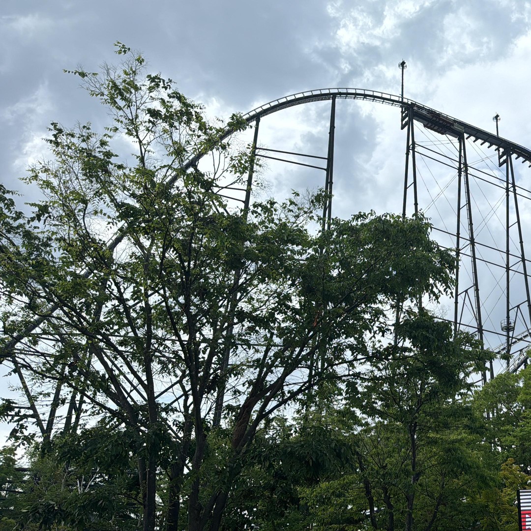 メディア コラージュ