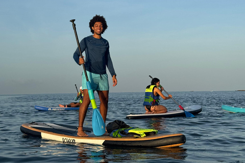 Cartagena: Paddle rental on the beach weekend