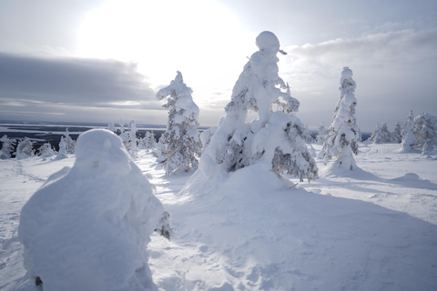 Rovaniemi: World's northernmost Roller Coaster +Riisitunturi