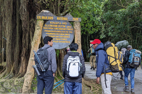 Kilimanjaro: Mount Kilimanjaro 5-Day Marangu Route Trek