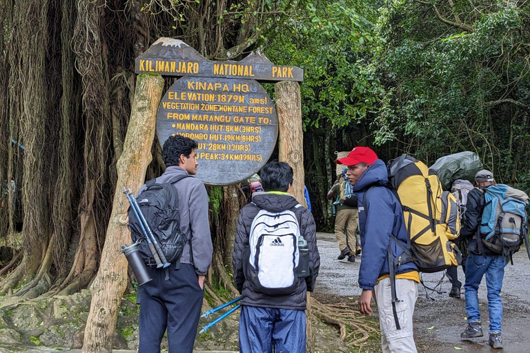 Kilimanjaro: Mount Kilimanjaro 5-Day Marangu Route Trek