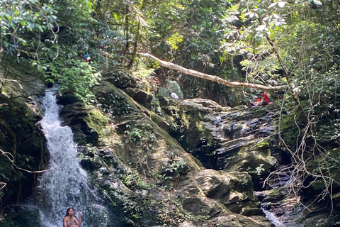 Bach Ma National Park Trekking Full-Day Tour Private Tour (From Hoi An)