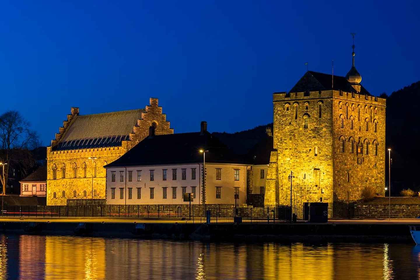 Visite Privée des 8 Incontournables de Bergen