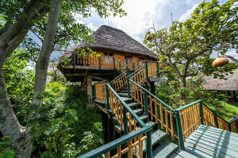 3-Day Kibale National Park Chimpanzee Tour