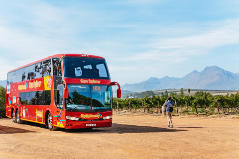 Da Cidade do Cabo: Tour de vinhos em 3 regiões com 3 propriedades e 15 vinhos