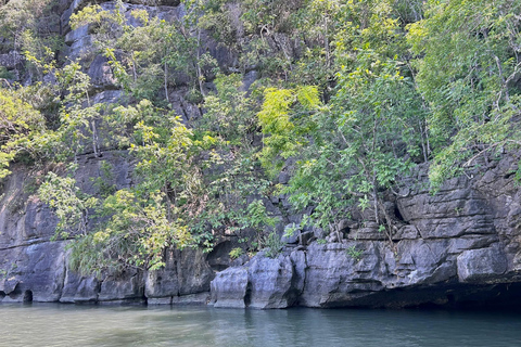 Langkawi: Kilim Geoforest Mangrove Tour with Fishing Trip Mangrove tour & Fishing 1-9 person