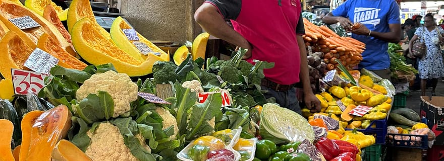 Île Maurice : Port-Louis, Jardin de Pamplemousses guide et prise en charge