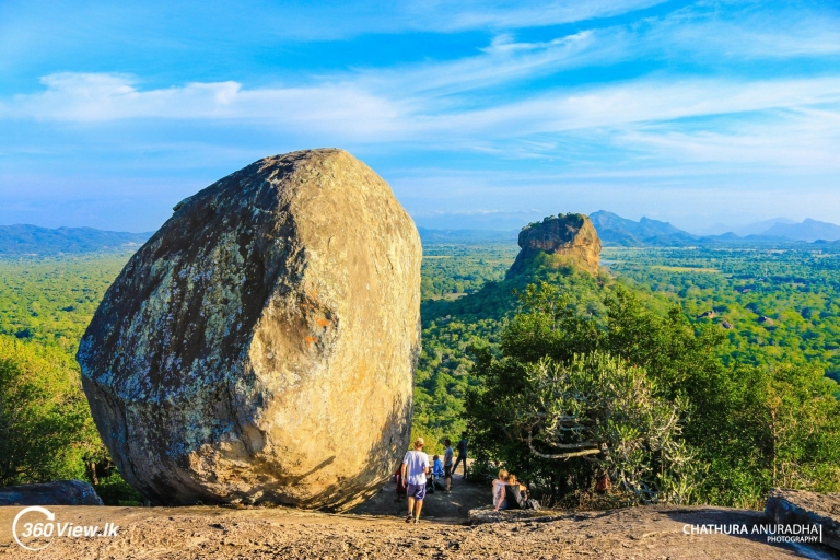 Von Colombo aus: Pidurangala Rock und Minneriya Safari Tagestour