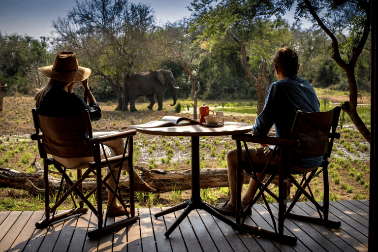 Krüger-Nationalpark: Die beste 4-Tage-Budget-Safari