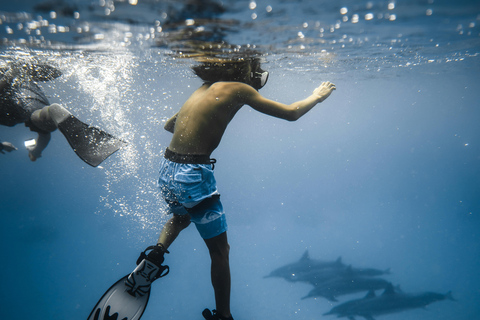 Hurghada: All-Inclusive Elite VIP Dolphin House & Massage Including Transfer from Hurghada