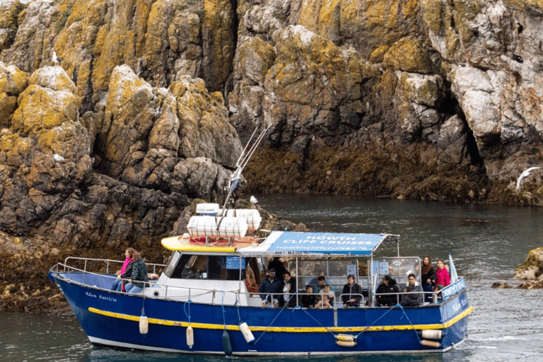 Dublín: Tour en barco por la Bahía de Dublín y el Ojo de Irlanda