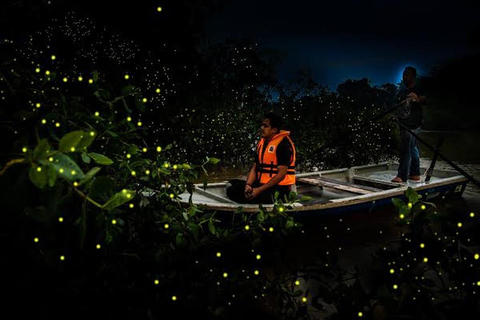 Kuala Lumpur: 4-Day Private Fireflies, Cameron & Melaka Tour