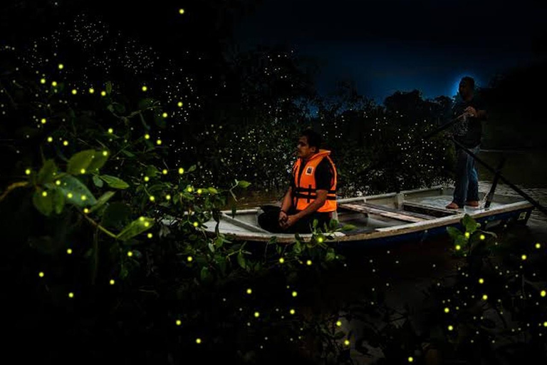 Kuala Lumpur: 4-Day Private Fireflies, Cameron & Melaka Tour