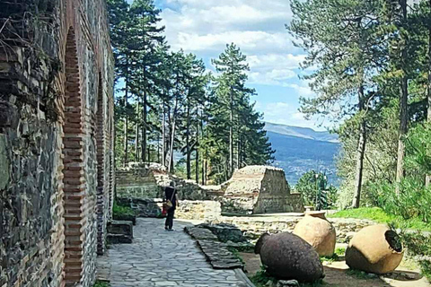 Small Group: Sofia to Kyustendil Fortress & Sequoia Park