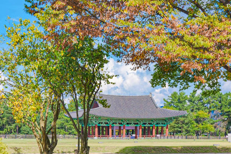 From Busan: Gyeongju Ancient Capital Day Tour