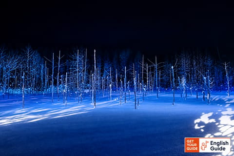 Asahikawa Private Day Tour: Zoo, Blue Pond & Driver-Guide - Image 2