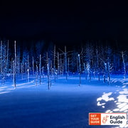 Asahikawa Private Day Tour: Zoo, Blue Pond & Driver-Guide Asahikawa Private Day Tour: Zoo, Blue Pond & Driver-Guide