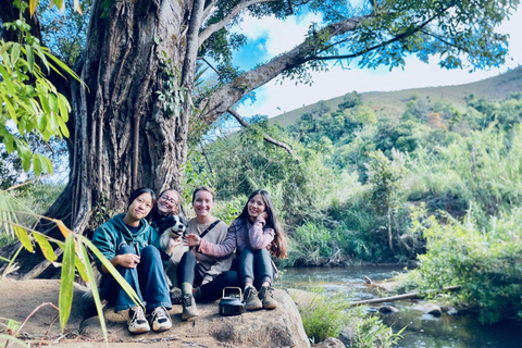 From Da Nang/Hoi An: Mang Den & Kon Chu Rang nature reserve