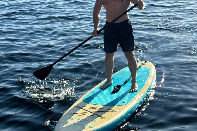 Oslo Fjord: Malmøya Island Paddleboarding & Campfire Salmon