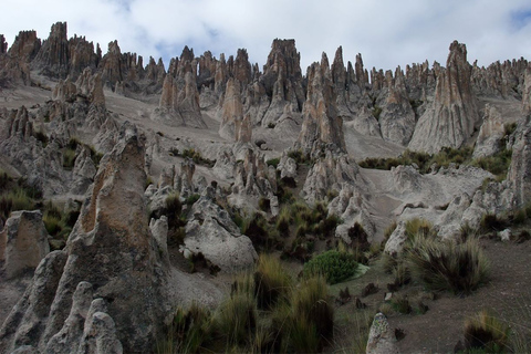 Arequipa | Wodospady Pillones i skalny lasArequipa: wodospady Pillones i skalny las