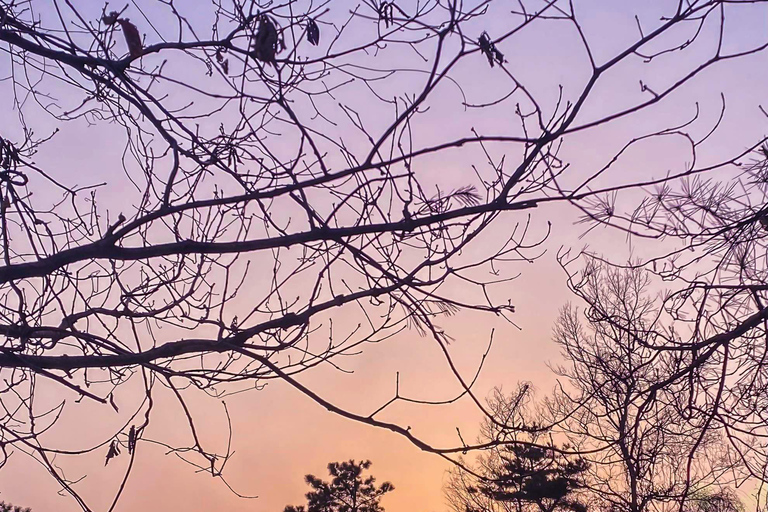 Goyang-si : randonnée sur le thème du cimetière coréen et du folkloreGoyang-si : cimetière coréen et randonnée folklorique
