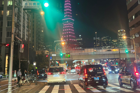 Tour de día completo por la ciudad de Tokio con recogida y regreso