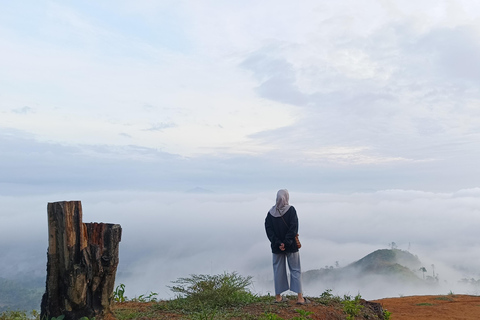 Mount Sago: Gipfel-Zen &amp; Palmzucker-TourSommererlebnis; Sikabu-kabu