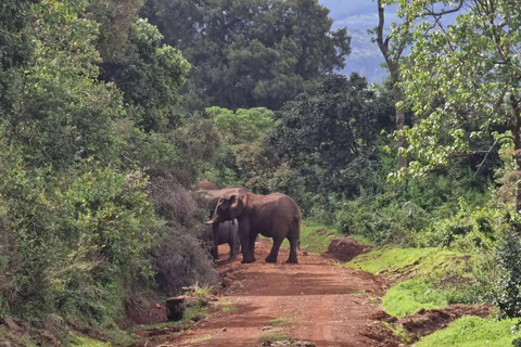 Mt. Elgon National Park: 3-Day Camping Tour