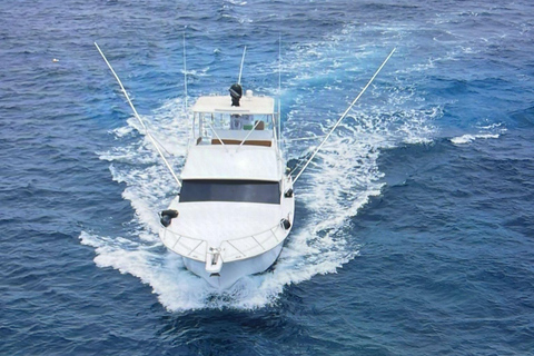 Falmouth: Yacht Cruise with Luminous Lagoon with Lunch