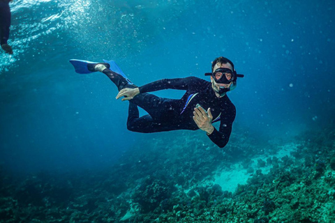 Jeddah: Red Sea Snorkeling and Diving Yacht Trip Diving