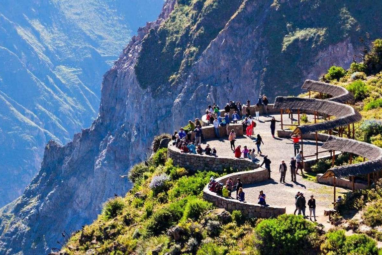 Heldag vid Colca + Transfer till Puno