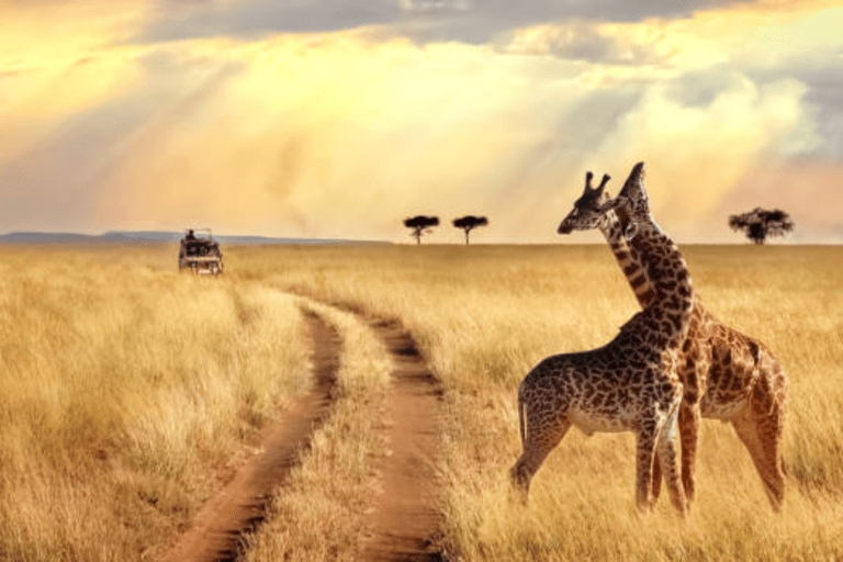 Tsavo East safari Park 2-Day Safari from Mombasa, watamu