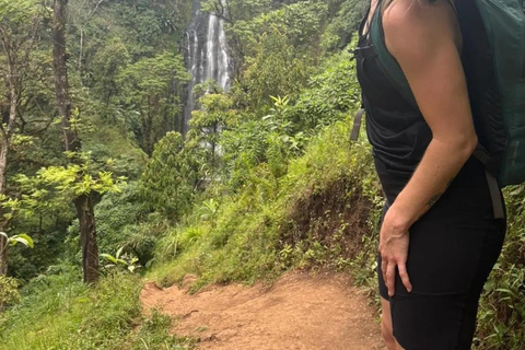 From Moshi: Materuni Waterfalls and Coffee Tour with Lunch
