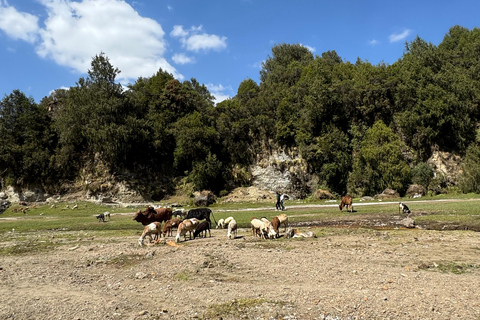 Addis Ababa: Wenchi Crater Lake Tour with Local Market