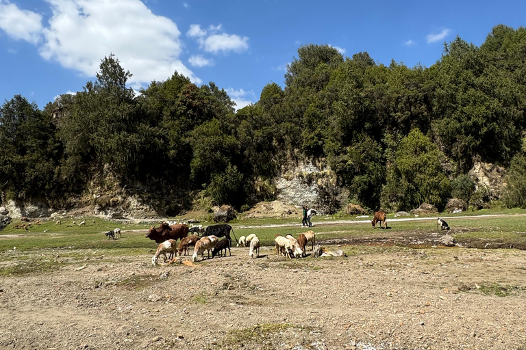 Addis Ababa: Wenchi Crater Lake Tour with Local Market
