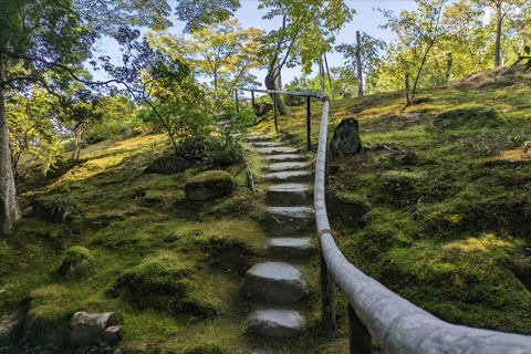 Nara: Private Car Tour of Hidden Gems & Ancient Icons