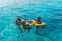 Aus Cairns, Great Barrier Reef Cruise von Premium Catamaran - Housity