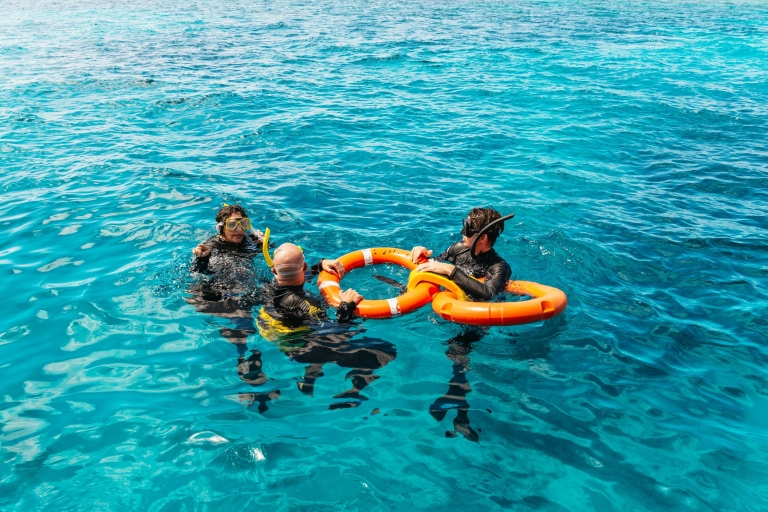Depuis Cairns : Grande barrière de corail en catamaranGrande barrière de corail en catamaran premium avec plongée