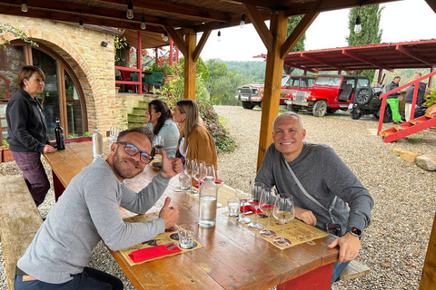 Florence: Chianti Wine Tour with 3 Wineries & Tuscan Lunch