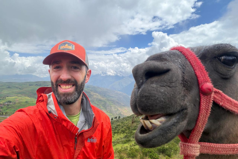 Cusco, Chinchero: Overnight Dome Stay and Walk with Alpacas