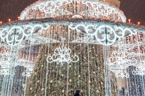 维尔纽斯：老城区圣诞传统徒步导览