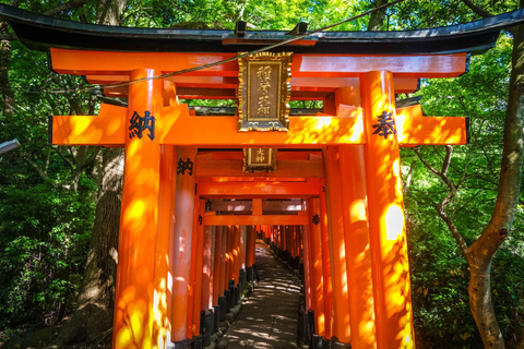 Day tour of Kyoto+Nara, Fushimi Inari Taisha+Arashiyama