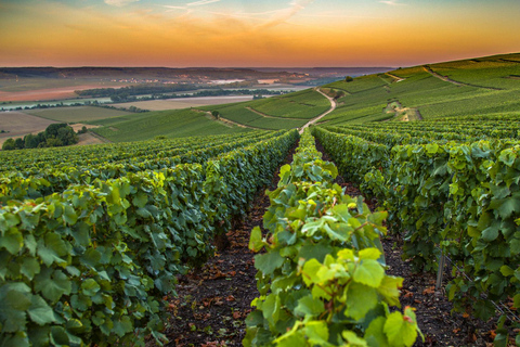 Bio-Weinverkostung mit Saint paul Halbtagestour ab Nizza