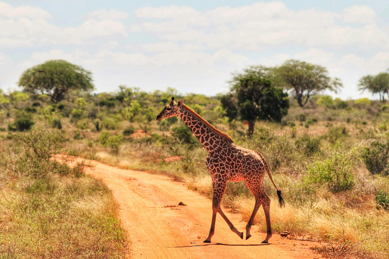 Safari med övernattning till Tsavo East National Park från Mombasa